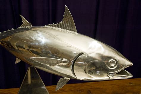 fish metal